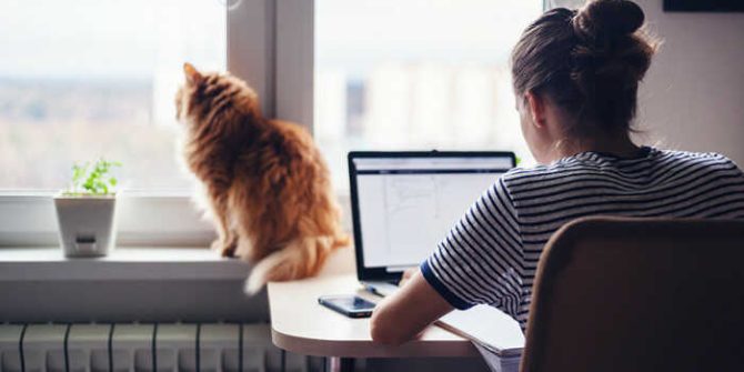 távmunkát végző diáklány a cicájával
