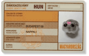 Diákigazolvány szükséges a diákmunka vállalásához
